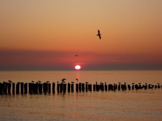 Appartamento Vlissingen Ambiente 36