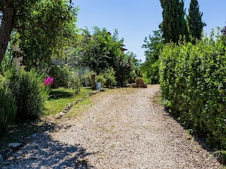 Apartment Casole d'Elsa Außenaufnahme 14