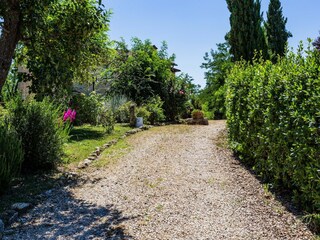 Apartment Casole d'Elsa Outdoor Recording 14