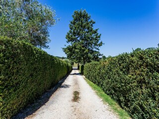 Appartamento Casole d'Elsa Caratteristiche 24