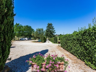 Apartment Casole d'Elsa Außenaufnahme 12