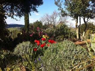 Apartamento Casole d'Elsa Entorno 31