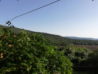 Apartamento Casole d'Elsa Entorno 46