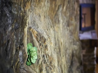 Apartment Welt  36