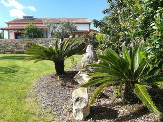 Ferienhaus Vinha da Rainha Außenaufnahme 10