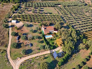 Maison de vacances Vinha da Rainha  37