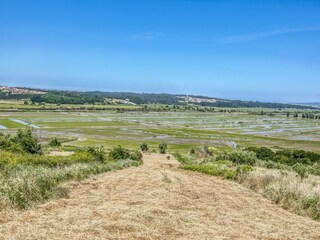 Casa per le vacanze Vinha da Rainha Ambiente 34