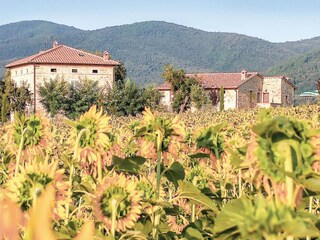 Appartamento Casole d'Elsa Ambiente 33