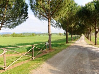 Appartamento Casole d'Elsa Ambiente 34