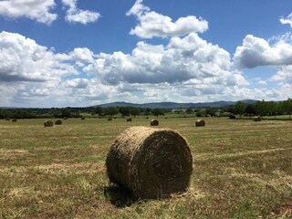 Appartement Casole d'Elsa Omgeving 34