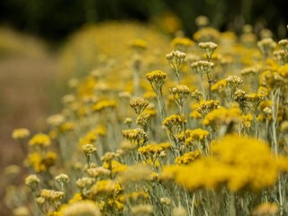 Appartamento Casole d'Elsa Ambiente 31