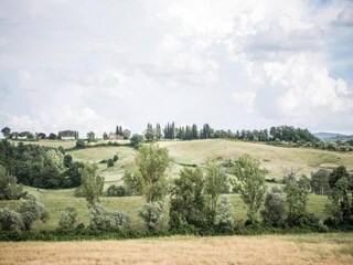 Apartment Casole d'Elsa Umgebung 39