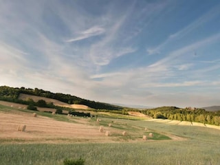 Apartment Casole d'Elsa Umgebung 34