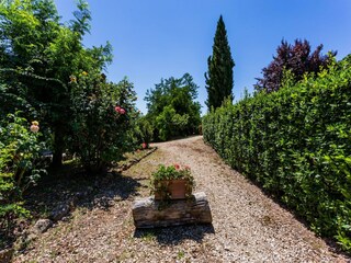 Apartment Casole d'Elsa Außenaufnahme 16