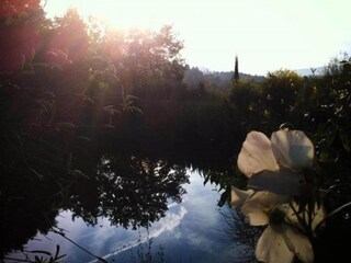 Apartment Casole d'Elsa Umgebung 34