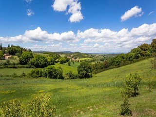 Apartamento Casole d'Elsa Entorno 37