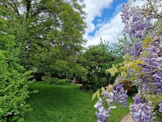 Blick auf den Garten von der Rückseite des Hauses