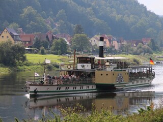Historischer Dampfer auf der Elbe