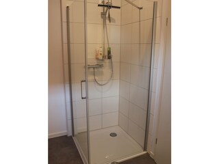 Das Badezimmer unten mit Dusche und Sauna (3/3)