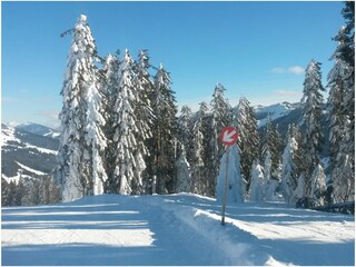 Kitzbüheler Alpen