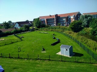 Agilityplatz für Hunde