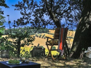 Cottage Trecastelli Outdoor Recording 9