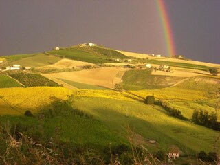 Vakantiehuis Cossignano Omgeving 31