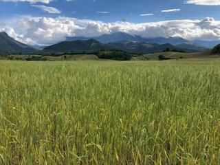 Casa de vacaciones Cossignano Entorno 39