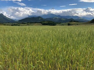 Villa Fratte Rosa Environment 23