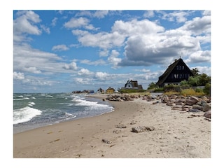Naturschutzgebiet in Heiligenhafen "Graswarder"
