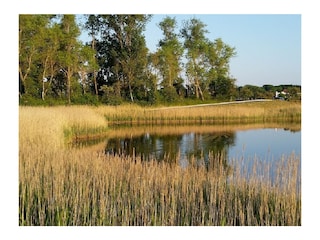 Biotop am Dünenpark
