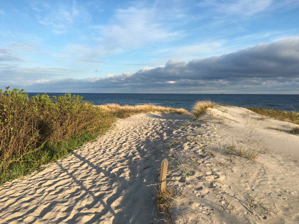 Naturbelassene Strandaufgänge in Dierhagen