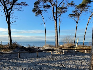 Am Weststrand