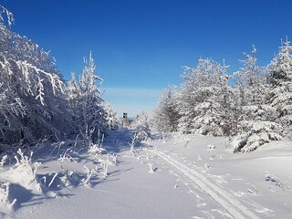 Winterimpressionen