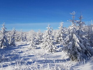 Appartamento per vacanze Kassel Ambiente 28