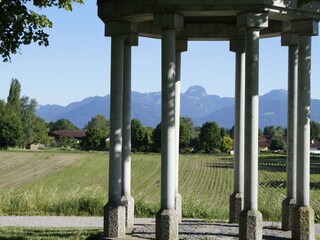 Monopterus viewpoint