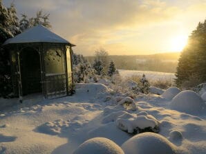 Ferienhaus Sonne Harz und Sterne - Hohegeiß - image1