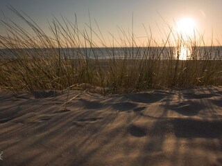 Appartamento per vacanze Egmond aan Zee Ambiente 28