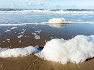 Appartamento per vacanze Egmond aan Zee Ambiente 30