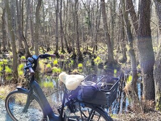 Appartamento per vacanze Zingst Ambiente 25