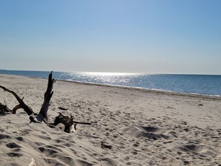 Appartamento per vacanze Zingst Ambiente 26