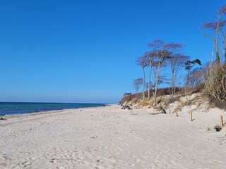 Apartamento de vacaciones Zingst Entorno 27