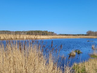 Appartamento per vacanze Zingst Ambiente 29