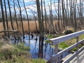 Appartamento per vacanze Zingst Ambiente 31