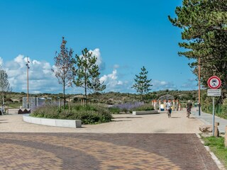 Appartamento per vacanze Renesse Ambiente 24