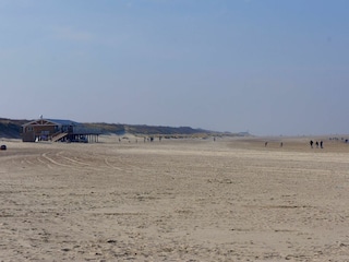 Holiday apartment Renesse Environment 22