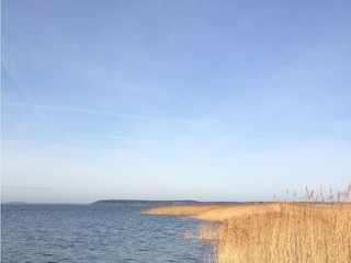 Naturschutzgebiet Lieper Winkel