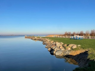Ferienhaus Saal in Vorpommern Außenaufnahme 19
