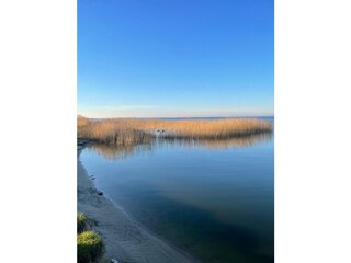 Ferienhaus Saal in Vorpommern Außenaufnahme 20