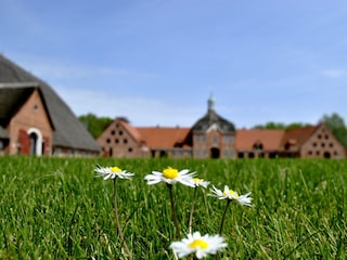 Frühling